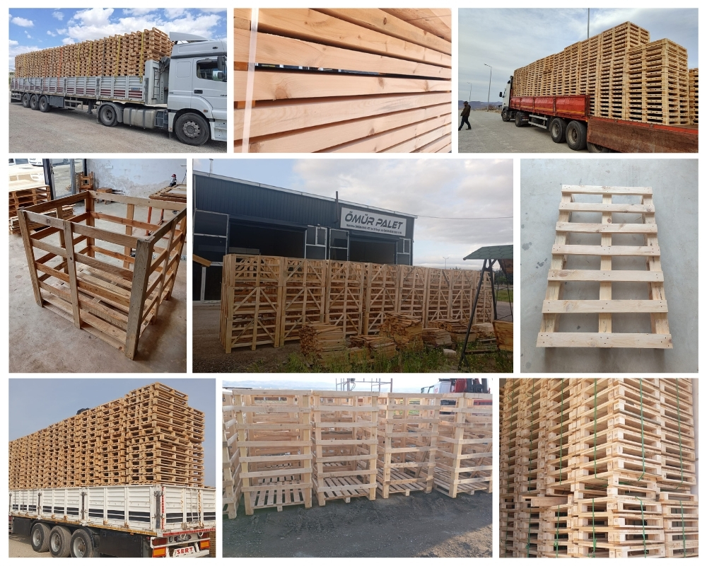 Carmagnola Palette Europe, Acheter des palettes en gros